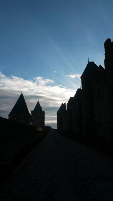Petit Loft Cosy Apartamento Carcassonne Exterior foto